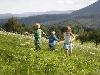 Akzent Hubertus Bad Peterstal-Griesbach