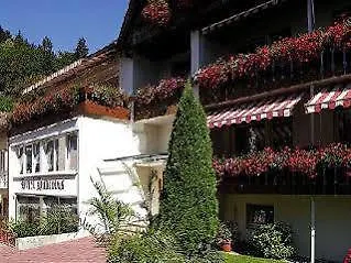 Akzent Hubertus Otel Bad Peterstal-Griesbach